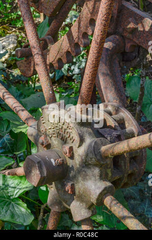 Vecchie attrezzature agricole arrugginite tra una zona di erbacce, metafora di terreni agricoli abbandonati. Foto Stock