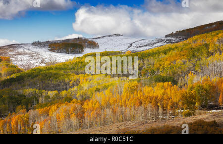 Modifica di Aspen - Southern Utah Montagne Foto Stock