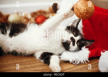 Carino kitty giocando con oro baubles sul pavimento in corrispondenza di ornamenti e santa hat sotto l'albero di Natale in sala festosa. Buon Natale concetto. Adorabili e divertente Foto Stock