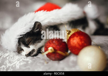 Carino kitty dormire a santa hat sul letto con oro rosso e decorazioni di Natale in sala festosa. Buon Natale concetto. Adorable funny kitten sonnecchiare. Foto Stock