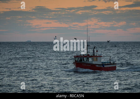 Barca da pesca trainato da un gannett e gabbiani entrando L'Etang-du-Nord sulla mola isola, nelle isole della Maddalena, Quebec, Canada. Foto Stock