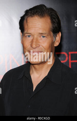 James Remar - Pineapple Express Premiere al Westwood Village Theatre di Los Angeles. headshot occhio contactRemarJames 14 Red Carpet Event, verticale, STATI UNITI D'AMERICA, industria cinematografica, celebrità, fotografia, Bestof, arte cultura e intrattenimento, Topix celebrità moda / Verticale, meglio di, evento nella vita di Hollywood - California, moquette rossa e dietro le quinte, USA, industria cinematografica, celebrità, movie celebrità, personaggi televisivi, musica celebrità, fotografia, Bestof, arte cultura e intrattenimento, Topix, headshot, verticale, una persona, dall'anno , 2008, inchiesta tsuni@Gamma-USA.com Foto Stock