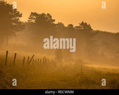 Percorso a piedi durante la orange sunrise in tedesco eifel vicino Blankenheim Foto Stock