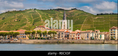 Panorama di Tournon sur Rhone river town e vigneti sulle colline del Cote du Rhone Area in Francia Foto Stock