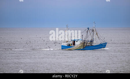 Peschereccio in waddensea, parte della tradizionale flotta peschereccia olandese Foto Stock