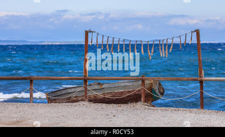 Bracci del polpo frutti di mare di essiccazione al sole su lesbo Island, Grecia Foto Stock