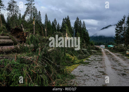 Belluno, Italia. 03Th Novembre, 2018. Vista della Val Visdende in primo piano gli alberi tagliati dall'alluvione Belluno, Italia. © Stefano Mazzola / risveglio / Alamy Live News Foto Stock