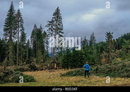 Belluno, Italia. 03Th Novembre, 2018. Una vista della zona colpita dall alluvione in Val Visdende Belluno, Italia. © Stefano Mazzola / risveglio / Alamy Live News Foto Stock