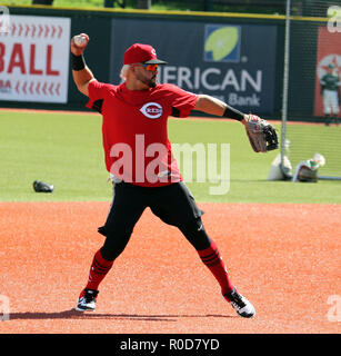 3 novembre 2018 - Cincinnati Reds infielder Eugenio SuÃ¡rez lancia la palla durante il warm up della sessione di allenamento a Les Murakami Stadium nel campus della University of Hawaii a manoa a Honolulu, HI - Michael Sullivan/CSM Foto Stock