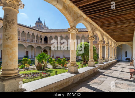 Chiostri in Convento de las Duenas, una 15th/16 secolo convento domenicano di Salamanca, Castilla y Leon, Spagna Foto Stock