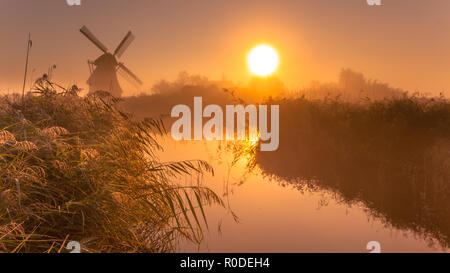 Tipico mulino a vento storico in una zona umida di polder su un colore fresco nebbiosa mattina di settembre nei Paesi Bassi Foto Stock