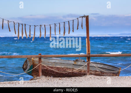 Bracci di pesce calamari essiccazione al sole al di sopra di una barca a remi su lesbo Island, Grecia Foto Stock