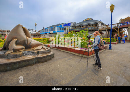 San Francisco, California, Stati Uniti - Agosto 14, 2016: fotografo a scattare foto dei leoni di mare statua al Pontile del Pescatore al Molo 39 lungo l'Embarcadero. Foto Stock