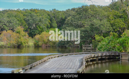 Ponte di legno nei pressi di Amelia Plantation in Nassau County, Florida Foto Stock