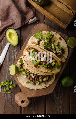 In casa la carne macinata tortilla, fresco di avocado e mozzarella una delizia cibo cucina semplice, fresco ingredience Foto Stock