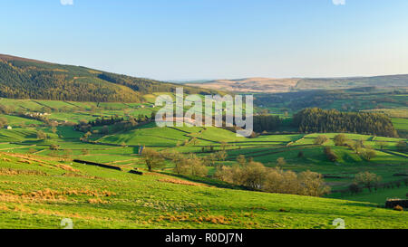 Vista pittoresca a lunga distanza a Wharfedale (fienili isolati, prati verdi ondulati, valle soleggiata, pareti, cielo blu) - Yorkshire Dales, Inghilterra, Regno Unito. Foto Stock