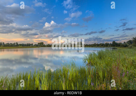 Una lunga esposizione immagine del fiume Forelands del Reno nel parco nazionale De Blauwe Kamer vicino a Wageningen, Betuwe, Paesi Bassi Foto Stock