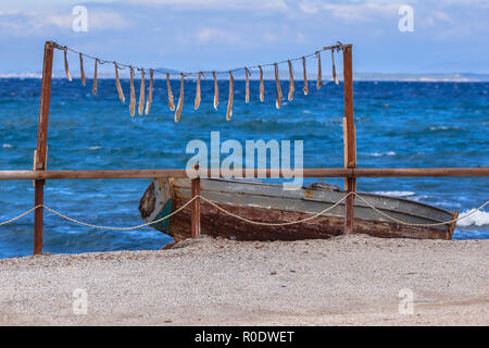 Bracci di pesce calamari di essiccazione al sole su lesbo Island, Grecia Foto Stock