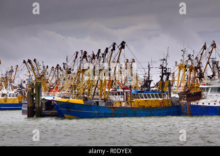 Barche da pesca sono in attesa per il tempo di chiarire in un porto olandese Foto Stock