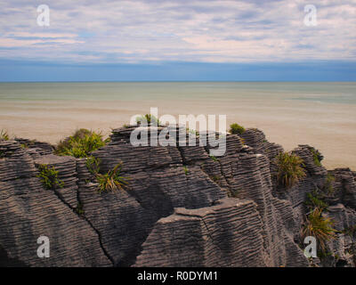 Formazioni sedimentarie a Pancake Rocks, Punakaiki, West Coast, Nuova Zelanda Foto Stock