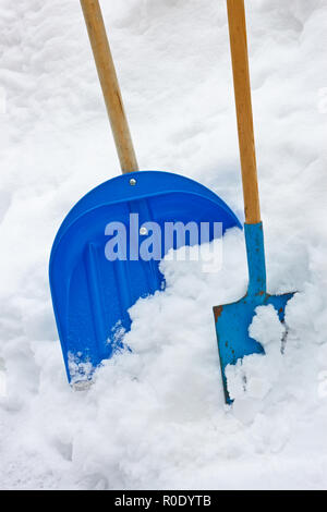 Plastica e metallo pale blu con manici in legno nel cumulo di neve Foto Stock