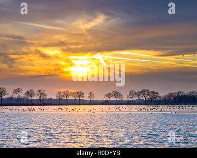 Tramonto spettacolare su metà lago ghiacciato nei Paesi Bassi in inverno Foto Stock