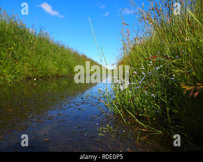 Tipica polder olandesi fosso visto da appena al di sopra della linea di galleggiamento Foto Stock