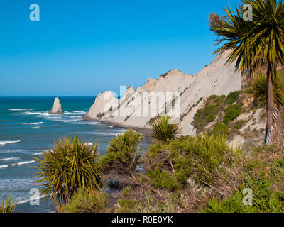 Un oceano di cape con cavolo Alberi di fronte Foto Stock