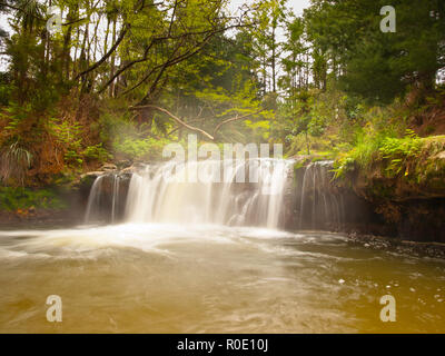 Cascata geotermica di kerosene creek vicino a Rotorua Nuova Zelanda Foto Stock