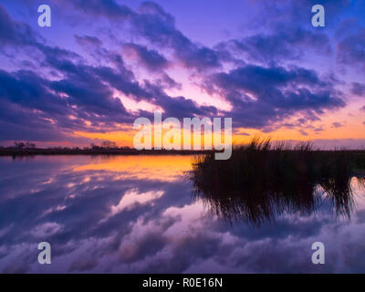 Il viola e il riflesso azzurro del cielo velato nella Riserva delle Paludi durante il tramonto Foto Stock