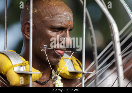 Grotte Batu, MALAYSIA, febbraio 07, 2012: devoto indù in Thaipusam annuale festa religiosa nelle Grotte Batu, vicino a Kuala Lumpur in Malesia Foto Stock