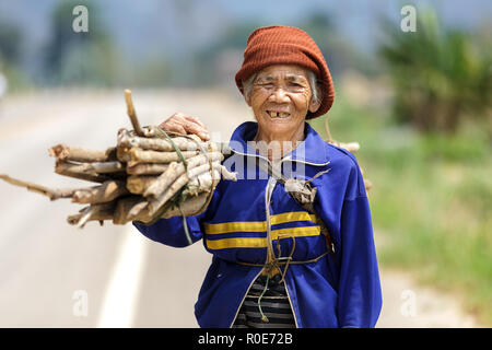 FU CHI FA, Thailandia, Marzo 4, 2011: una donna senior agricoltore con un bastone mazzetto in campagna in fu chi fa, a nord della Thailandia Foto Stock