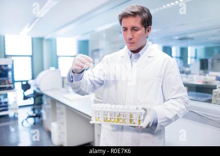 Assistente di laboratorio tenendo i campioni di medicinali in rack. Foto Stock