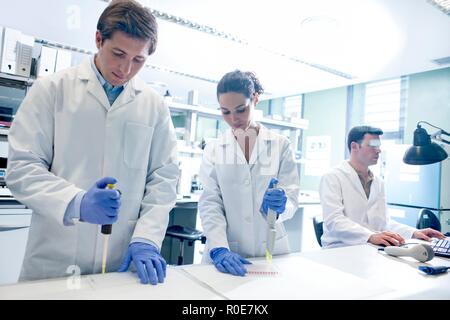 Gli scienziati utilizzano pipette in laboratorio. Foto Stock