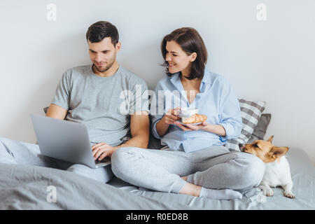 Affettuosa giovane trascorrere i fine settimana insieme, guardare film interessante sul computer portatile in letto, hanno la prima colazione e i loro jack russell terrier Foto Stock