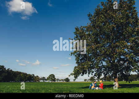 Ritratto della bellissima natura e famiglia che ha picnic in background si siede sotto il grande albero. Cielo blu e l'erba verde. Incantevole autunno Meteo e landsc Foto Stock