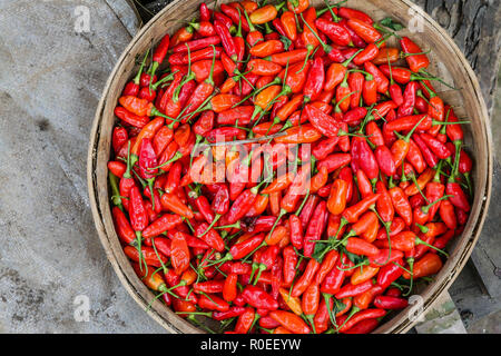 Una ciotola di legno riempita con red chilis. Foto Stock