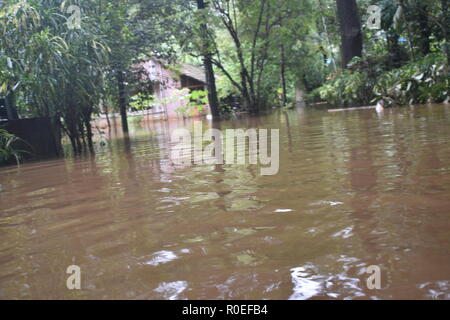 Pioggia pesante e inondato il Kerala Foto Stock