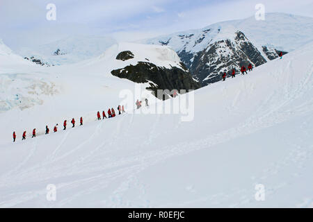 Antarctic expedition cruise passeggeri escursionismo fino le nevi di un Paradise Bay picco in corrispondenza di Almirante Brown argentina di base per godere la vista e far scorrere verso il basso. Foto Stock