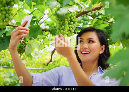 Giovane bella donna asiatica tenendo selfie, fotografando stessa all'uva farm come una meta turistica, piantagione di uva, cantina a Sabah Borneo Malese. Foto Stock