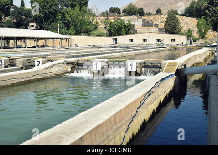 Acquacoltura acqua piscine di allevamento di pesci di pesca in Karaj vicino a Tehran, Iran, allevamento e vendita di spot rosso la trota iridea e il salmone del Caspio Foto Stock