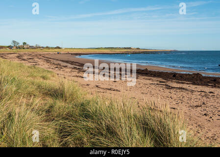 East Haven beach, tra Arbroath e Carnoustie, Angus, Scozia. Foto Stock