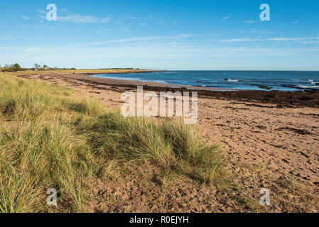 East Haven beach, tra Arbroath e Carnoustie, Angus, Scozia. Foto Stock