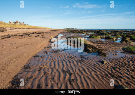 East Haven beach, tra Arbroath e Carnoustie, Angus, Scozia. Foto Stock