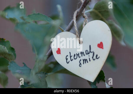 A forma di cuore ad card legata ad un albero in ricordo dell'amico perduto Foto Stock