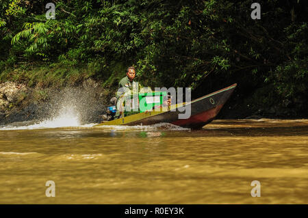 3 novembre 2018 - Fiume Lesan foresta protetta, a Est di Kalimantan, Indonesia - personale indonesiano di trasportare due gabbie con orangutan primate su una barca al punto in cui verranno rilasciate nell'ambiente selvatico nel fiume Lesan foresta protetta, Kalimantan orientale, Indonesia. Questi due Bornean orangutan (Pongo pygmaeus morio) sono il risultato della rinuncia della comunità ad Est di Kalimantan Risorse Naturali Conservation Centre in 2014 e 2016 nella regione Tenggarong, dove sono stati rilasciati nel loro habitat naturale dopo anni di riabilitazione dal trauma causato spesso da persone. Attualmente ci ar Foto Stock