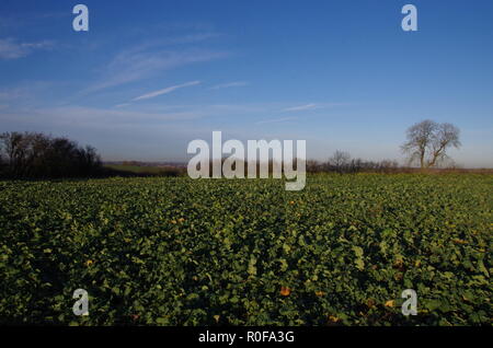 La Macmillan modo. Lincolnshire. East Midlands. In Inghilterra. Regno Unito Foto Stock