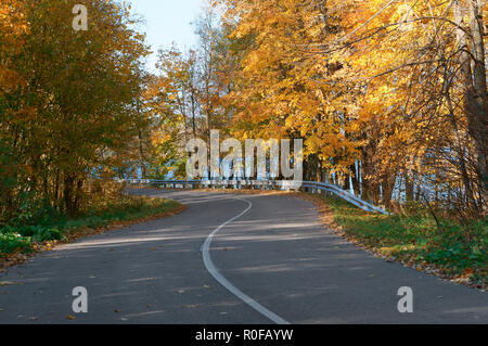 Strada forestale in foglie di autunno, paesaggio autunnale, sentiero forestale, foresta rominten Foto Stock
