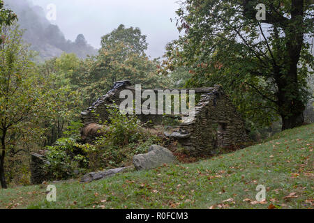 Un abbandonato casa di pietra in una foresta in Italia Foto Stock