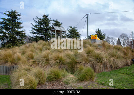 Tussocks piantate circa un flying fox in un parco giochi per bambini offre una cassetta di sicurezza e un atterraggio morbido per cade e si adatta anche in con il paesaggio Foto Stock